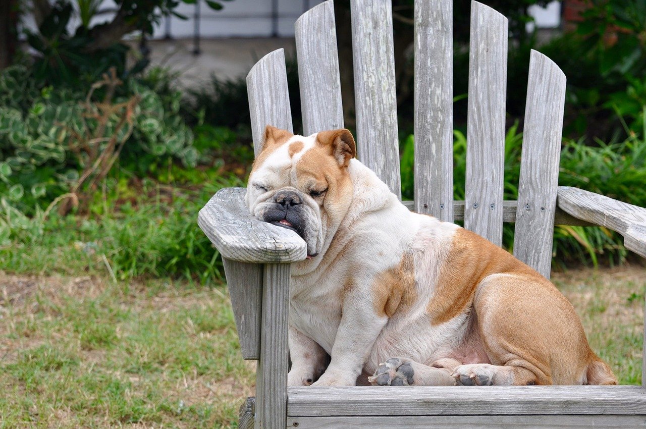 sleeping