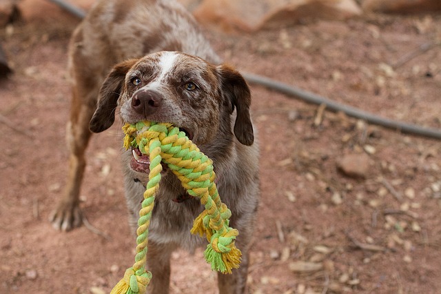 rope