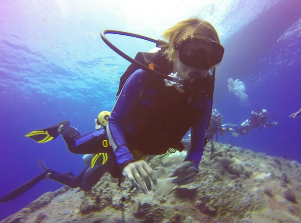 dive